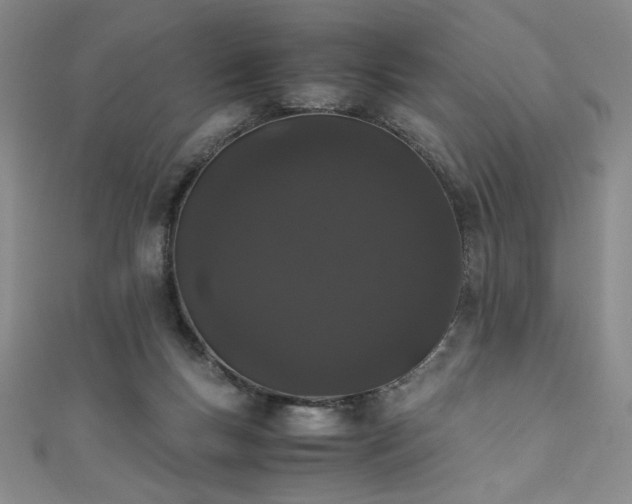 X0000111880167200907231542