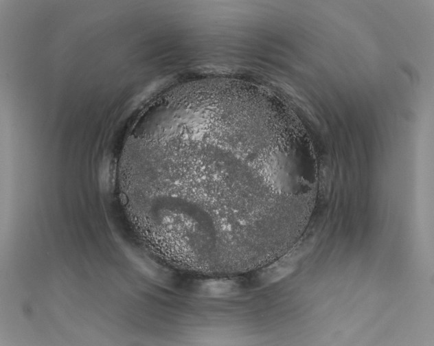 X0000111880168200907231542