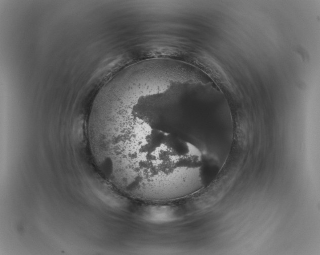 X0000111880169200907231542