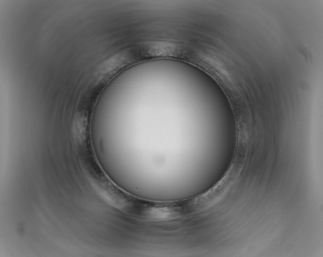 X0000111880171200907231542