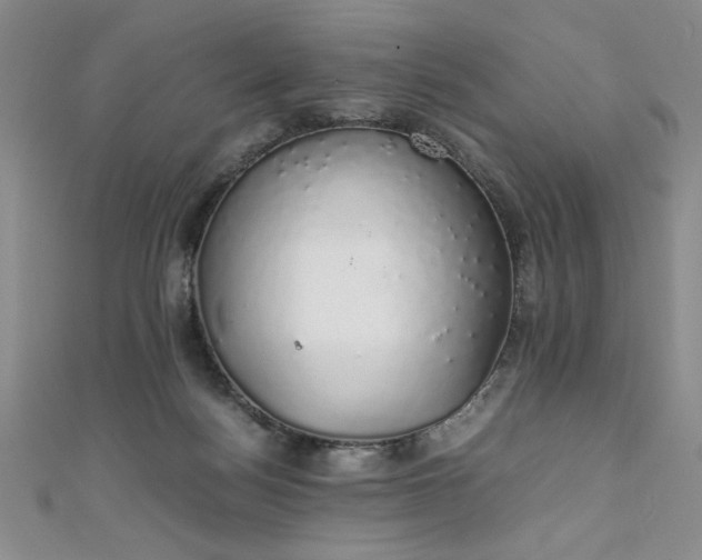 X0000111880172200907231542