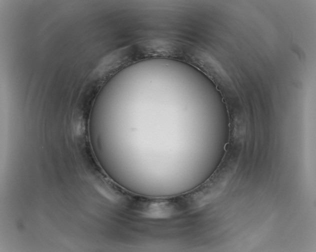 X0000111880173200907231542