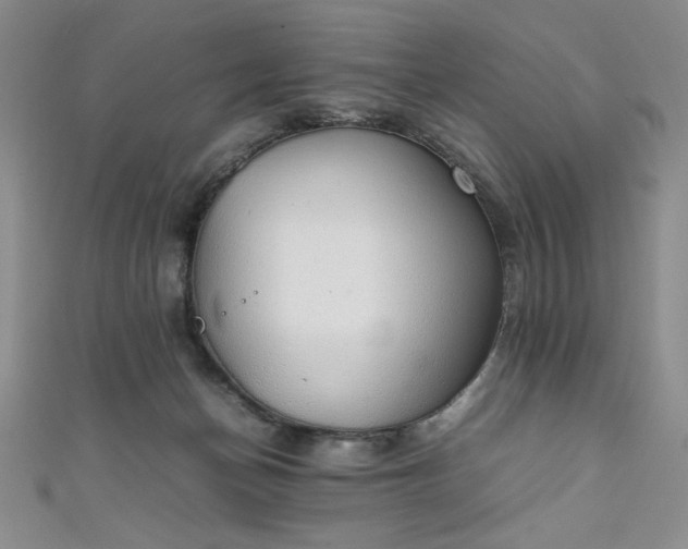 X0000111880174200907231542