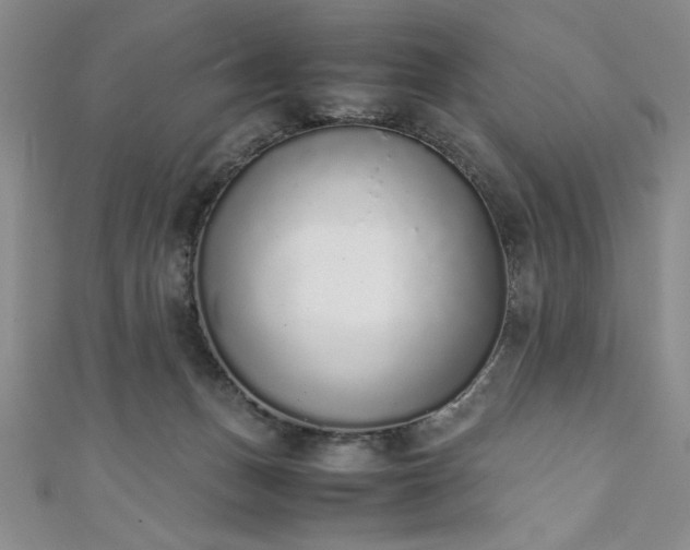 X0000111880175200907231542