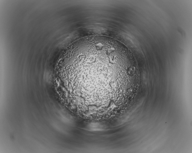 X0000111880177200907231542