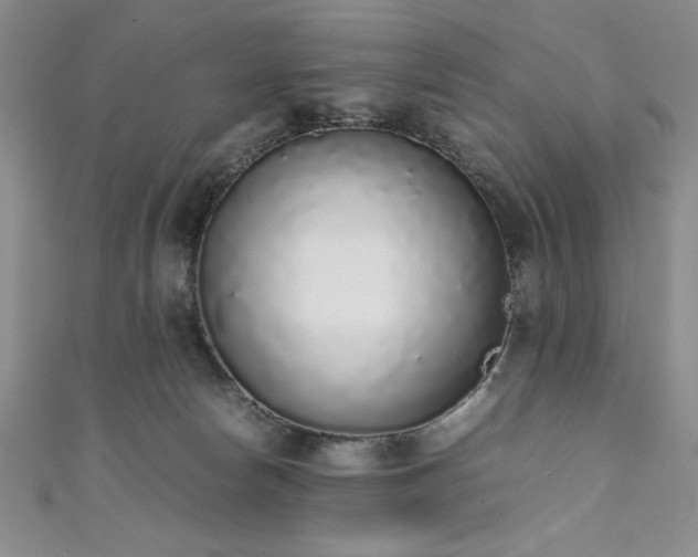 X0000111880178200907231542