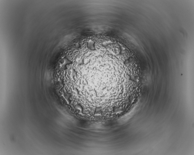 X0000111880182200907231543