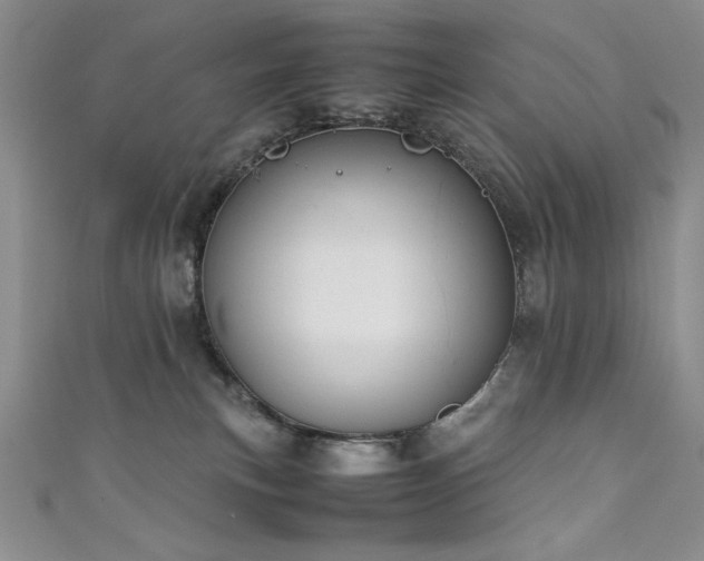 X0000111880183200907231543