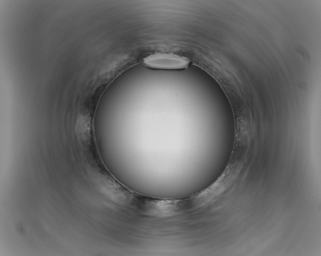 X0000111880184200907231543