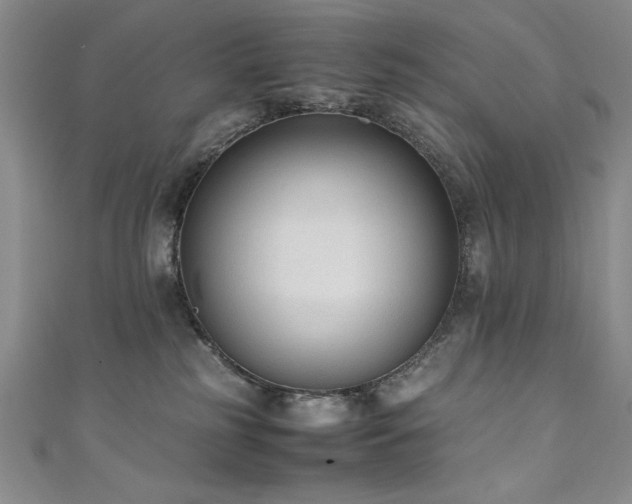 X0000111880185200907231543