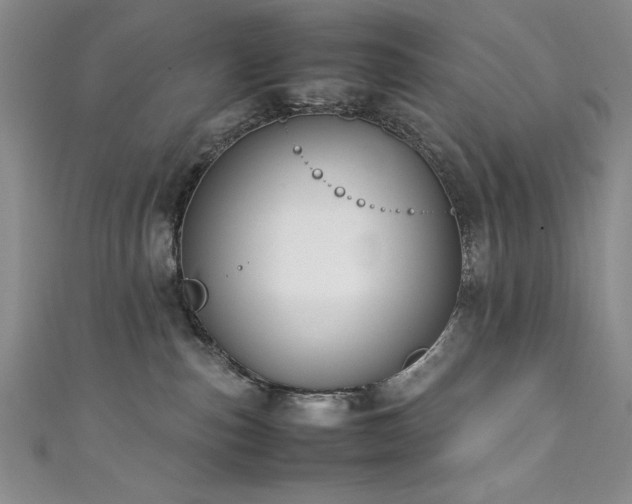 X0000111880187200907231543