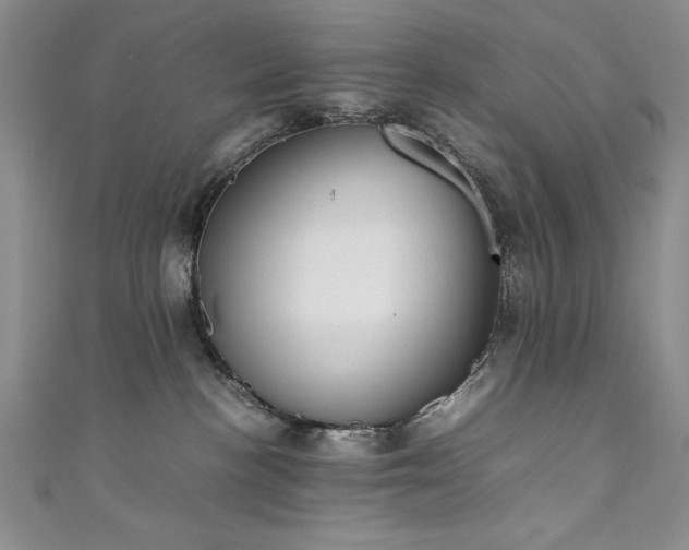 X0000111880188200907231543