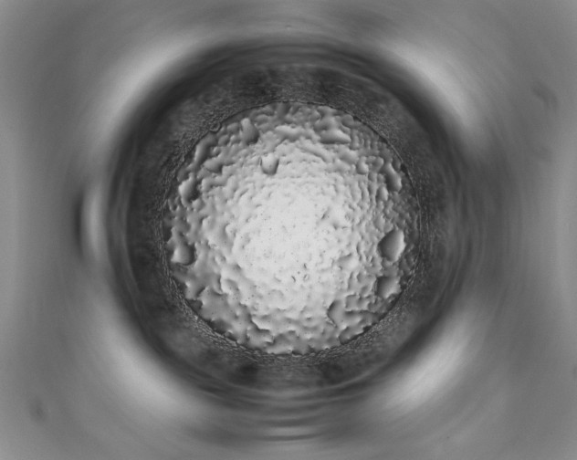 X0000111880189200907231543