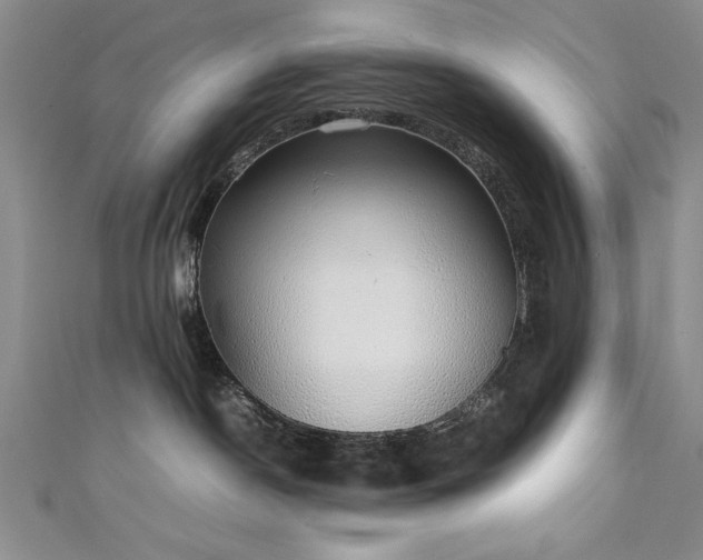 X0000111880190200907231543
