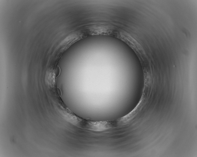 X0000111880191200907231543