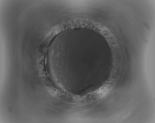 X0000111880192200907231543