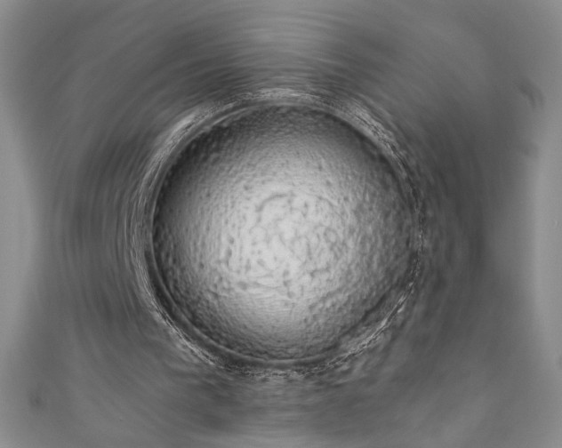 X0000111880193200907231542