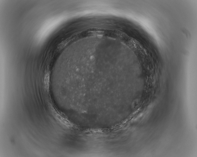 X0000111880194200907231542