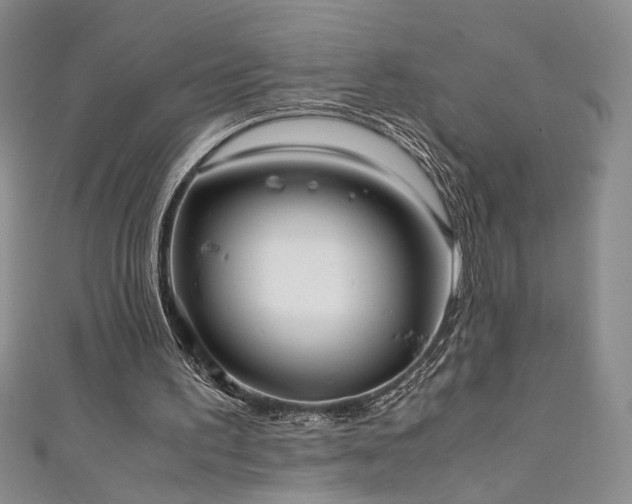X0000111880195200907231542