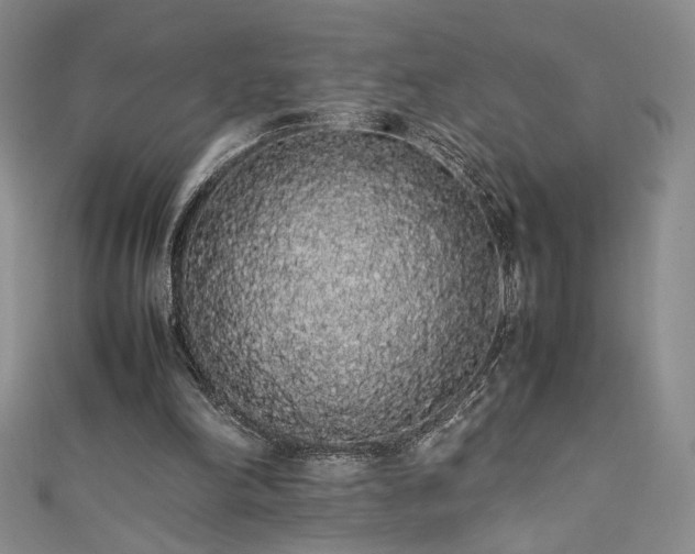 X0000111880198200907231542