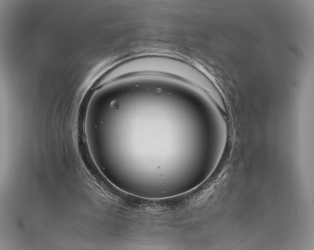 X0000111880199200907231542