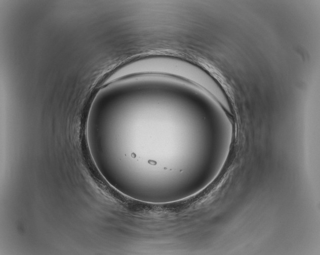 X0000111880201200907231542
