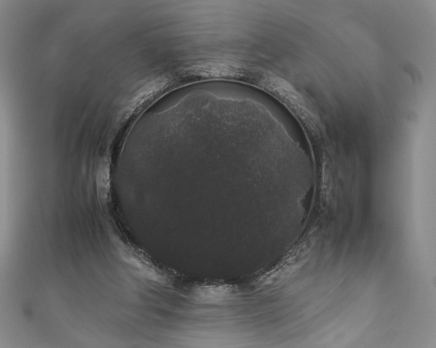 X0000111880202200907231542
