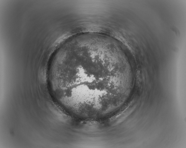 X0000111880203200907231542
