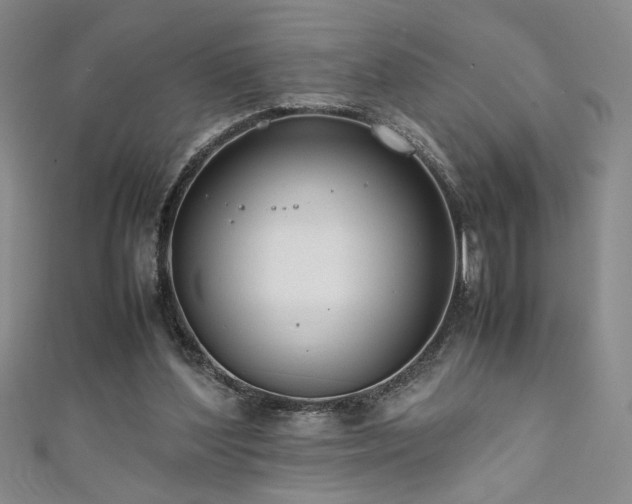 X0000111880204200907231542