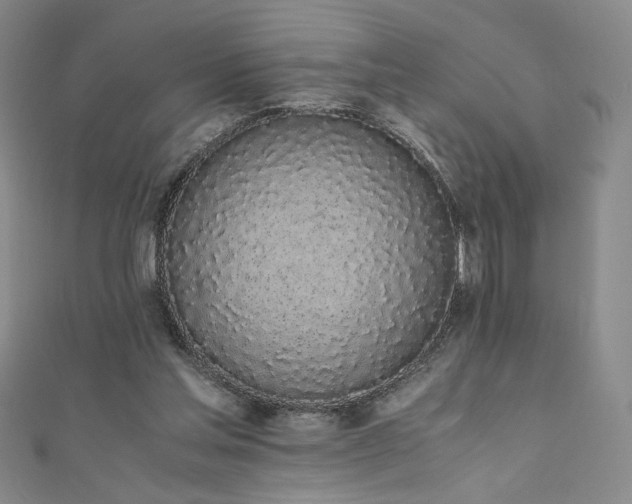 X0000111880205200907231542