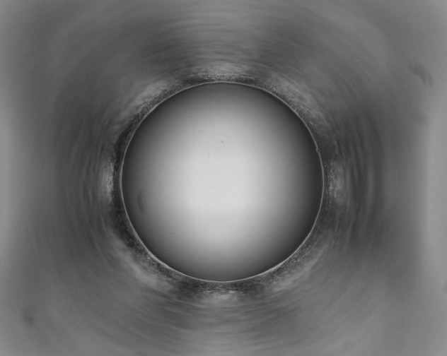 X0000111880206200907231542