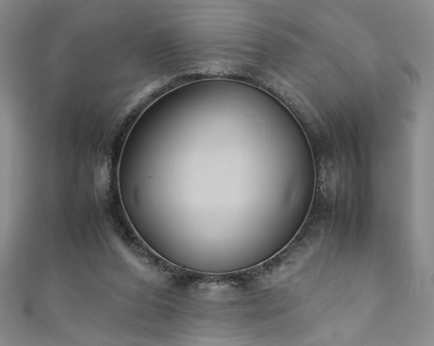 X0000111880208200907231542