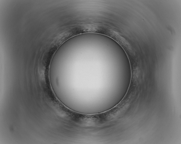 X0000111880209200907231542