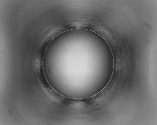 X0000111880210200907231542