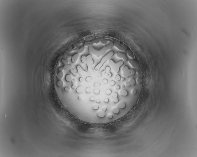 X0000111880211200907231542