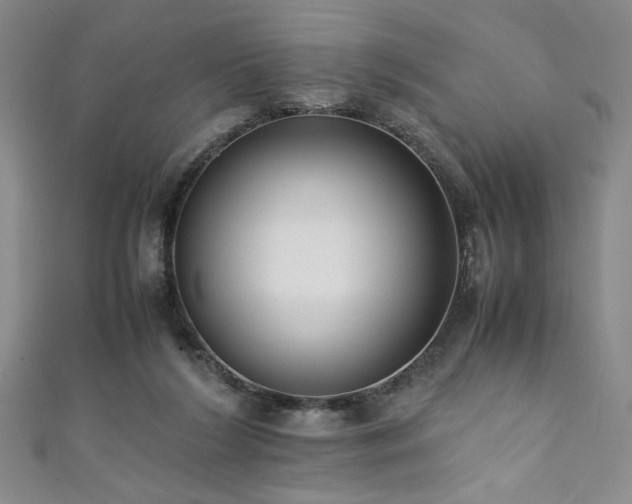 X0000111880212200907231542
