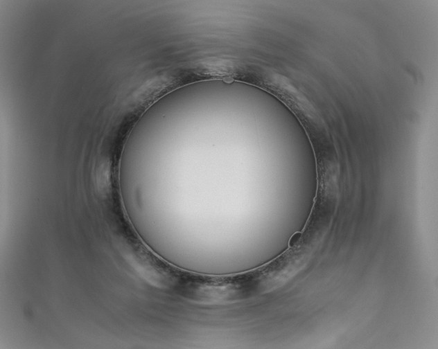 X0000111880213200907231542