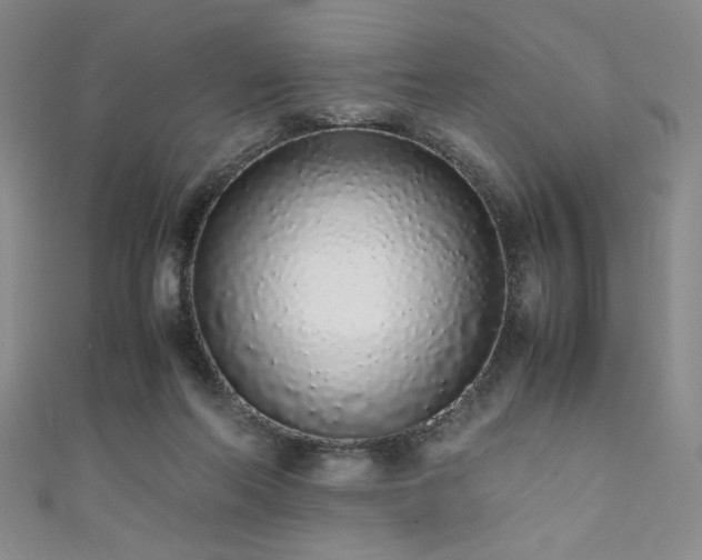 X0000111880214200907231542