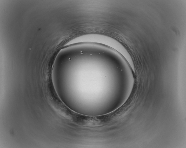 X0000111880215200907231542