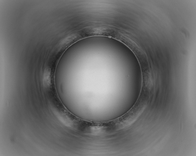 X0000111880216200907231542