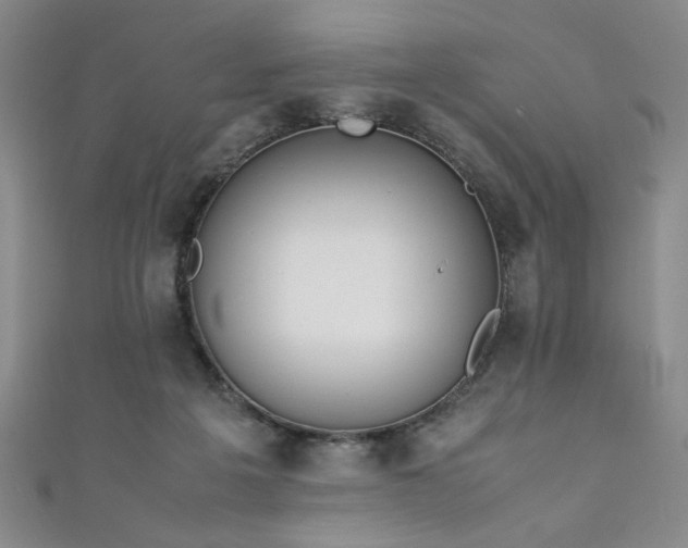 X0000111880217200907231542