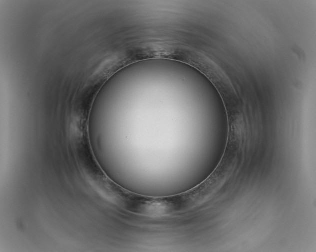 X0000111880218200907231542