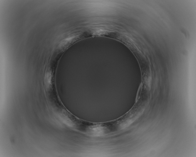 X0000111880219200907231542