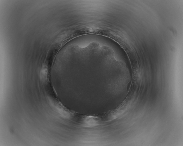 X0000111880222200907231542