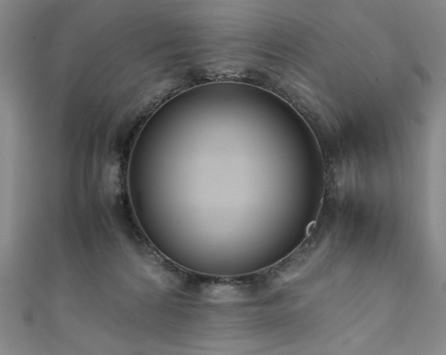 X0000111880224200907231542