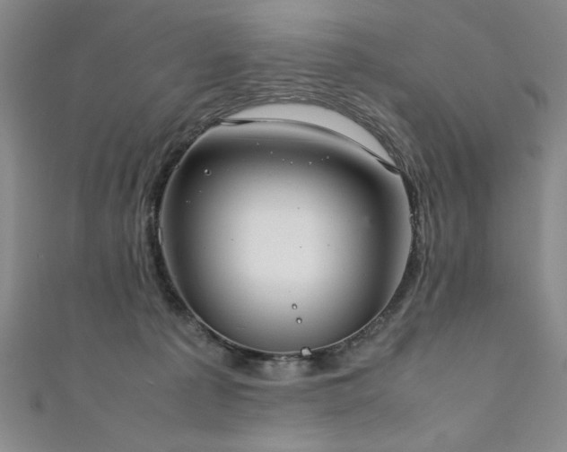 X0000111880225200907231542