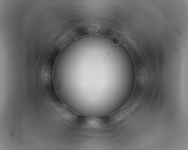 X0000111880226200907231542
