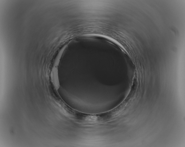 X0000111880227200907231542