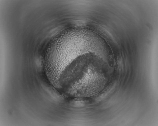 X0000111880228200907231542