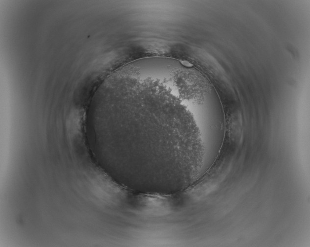 X0000111880229200907231542